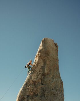 adventuresofawildthing