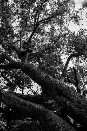 Agnes Verano Foto trapelata OnlyFans nuda 102