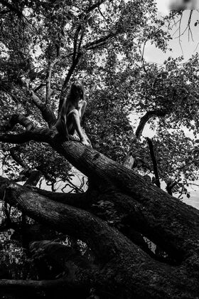 Agnes Verano Foto trapelata OnlyFans nuda 116