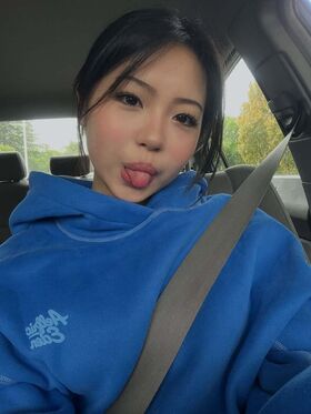 aishlvsu Nude Leaks OnlyFans Photo 34