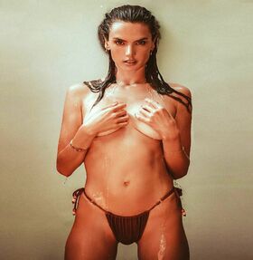 Alessandra Ambrosio Nude Leaks OnlyFans Photo 411