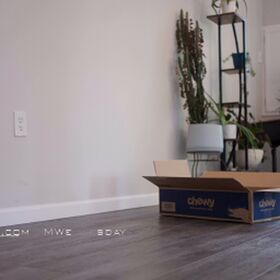 AMWednesday Nøgne lækkede OnlyFans foto 49