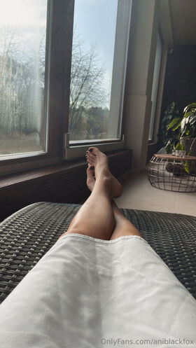 aniblackfox Nude Leaks OnlyFans Photo 24