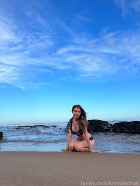 Animaechan