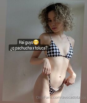Avocadotacos Nude Leaks OnlyFans Photo 1