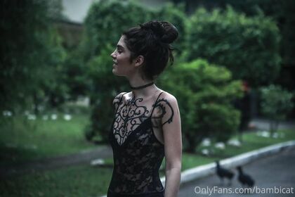 bambicat