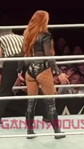 Becky Lynch Nude Leaks OnlyFans Photo 169