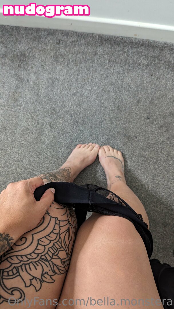 bella.monstera
