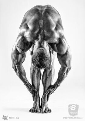 Bodybuilding.com's BodiesWork