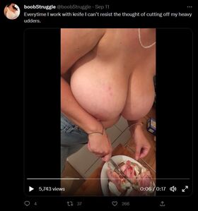 boobStruggle Nude Leaks OnlyFans Photo 31
