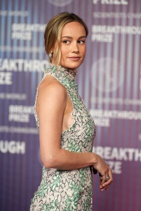 Brie Larson Nude Leaks OnlyFans Photo 658