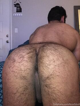 briefsbull Nude Leaks OnlyFans Photo 1