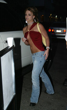 Britney Spears Nude Leaks OnlyFans Photo 208