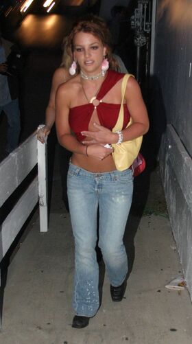 Britney Spears Nude Leaks OnlyFans Photo 210