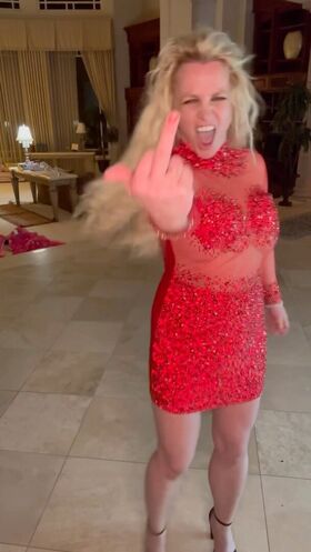 Britney Spears Nude Leaks OnlyFans Photo 483