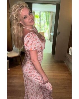 Britney Spears Nude Leaks OnlyFans Photo 577