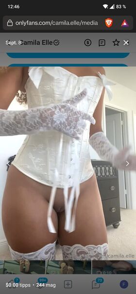 Camila Elle Nude Leaks OnlyFans Photo 19