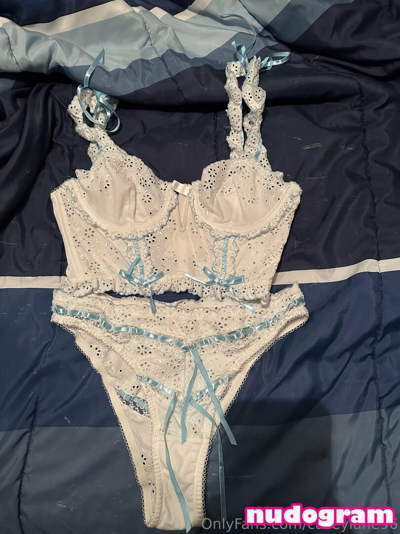 caseylane96 Nude Leaks OnlyFans Photo 27 - Nudogram v2.0