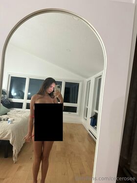 Cecilia Rose Nude Leaks OnlyFans Photo 89
