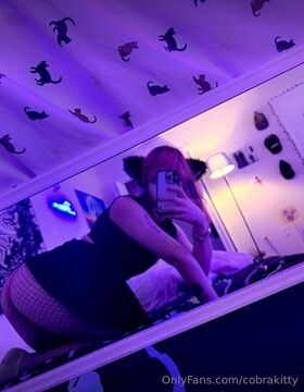 cobrakitty