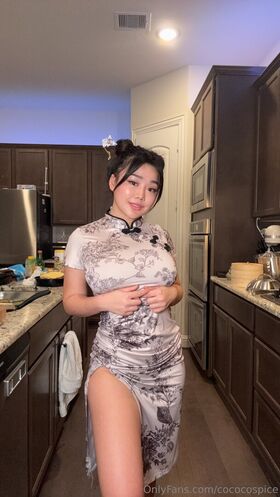 cococospice Nude Leaks OnlyFans Photo 10