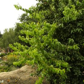 Daisy Taylor Nude Leaks OnlyFans Photo 341