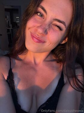 daisypheonix