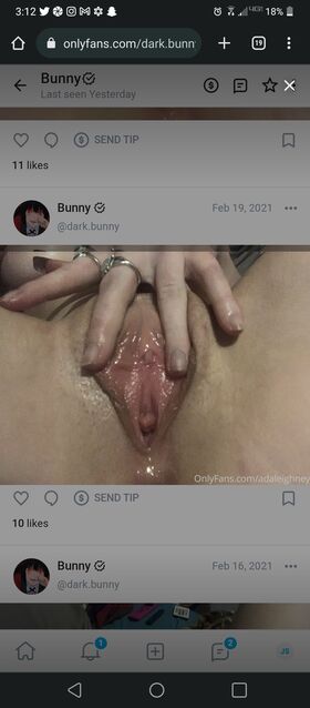 Dark.Bunny Nude Leaks OnlyFans Photo 10