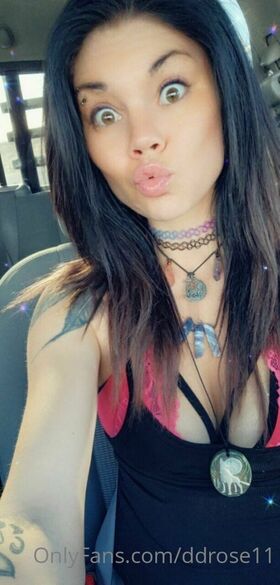 ddrose11