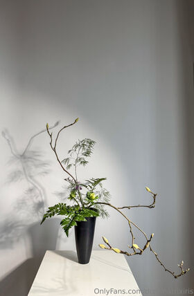 dominatrixiris Nøgne lækkede OnlyFans foto 98