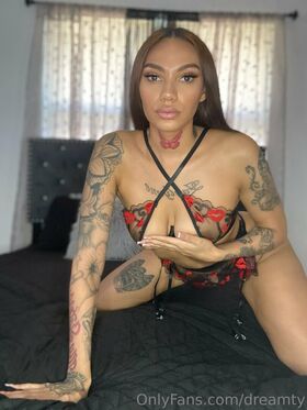 dreamty Nude Leaks OnlyFans Photo 9