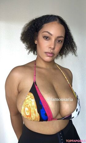 famousaria Nude Leaks OnlyFans Photo 33