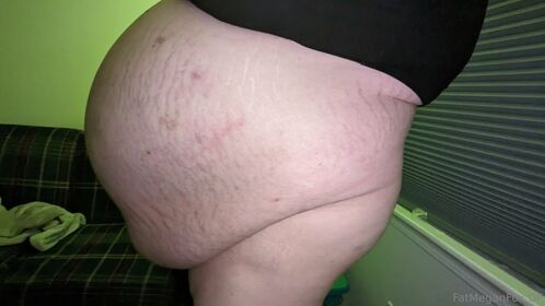 fatmeganfox Nude Leaks OnlyFans Photo 22