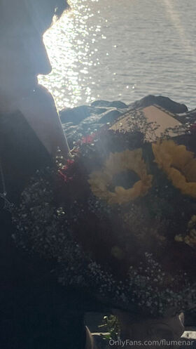 flumenar Fotografie scursă ilegal OnlyFans dezbrăcată 21