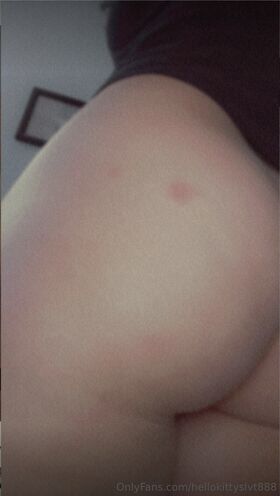 hellokittyslvt888 Nude Leaks OnlyFans Photo 10