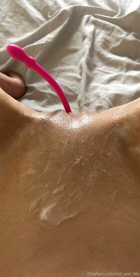 hot_wet_lilly Nude Leaks OnlyFans Photo 50