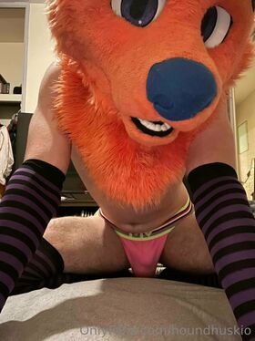 houndhuskio Photo divulguée nue OnlyFans 10