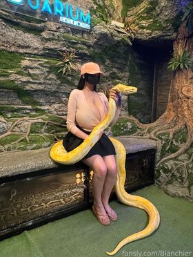 ImpartialBunny 裸露泄露OnlyFans照片 61