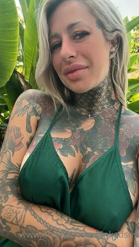 inkedsns Nude Leaks OnlyFans Photo 22