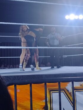 Jaida Parker - WWE Nude Leaks OnlyFans Photo 25
