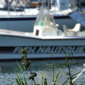 jesssssg Nude Leaks OnlyFans Photo 4