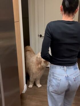 Kaley Cuoco नग्न लीक OnlyFans फोटो 737