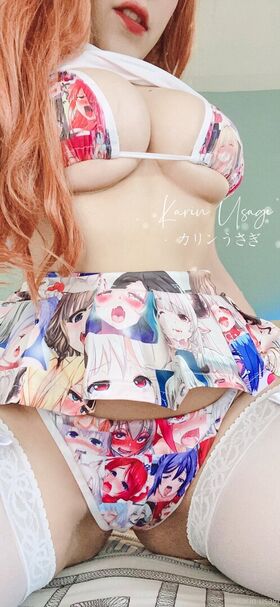 Karin Usagi Nude Leaks OnlyFans Photo 16
