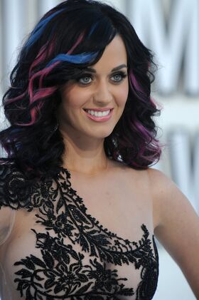 Katy Perry Nude Leaks OnlyFans Photo 253