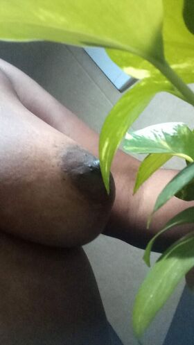 Larissa Pimenta Nude Leaks OnlyFans Photo 6