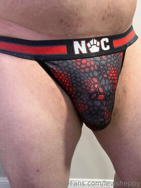 levisheppy Nude Leaks OnlyFans Photo 6