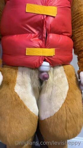 levisheppy Nude Leaks OnlyFans Photo 8