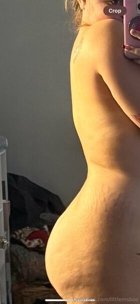 littlemsboo Nude Leaks OnlyFans Photo 33