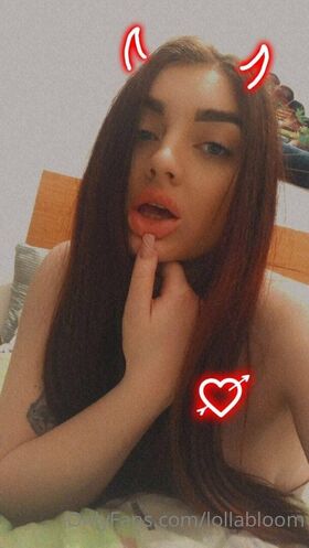 lollabloom