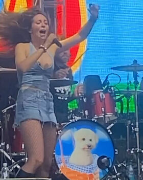 Lølø Photo divulguée nue OnlyFans 384